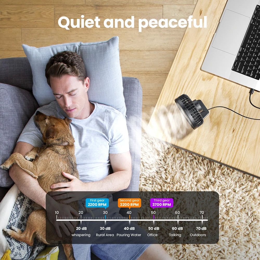 D.escription Report Item Ceiling Fan